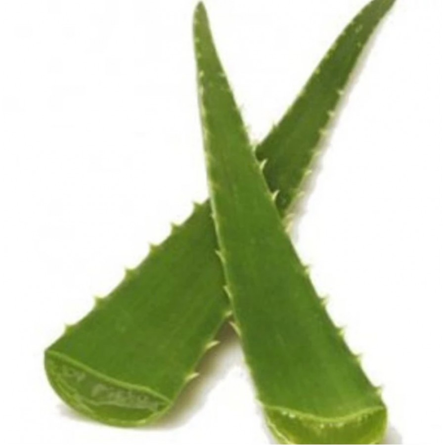 بالش طبی آلوورا 